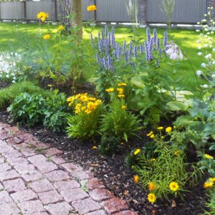 augu dizains, ierīkošana, kopšana