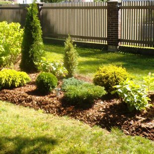 augu dizains, ierīkošana, kopšana