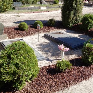 kapu dizains, ierīkošana, kopšana