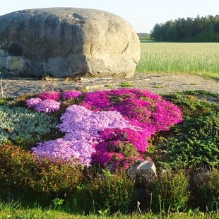 ainavu dizains, ierīkošana