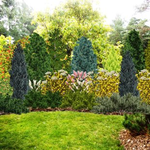 ainavu dizains,    3D vizualizācija 