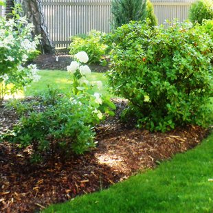 augu dizains, ierīkošana, kopšana