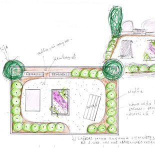 kapu dizains, ierīkošana, kopšana