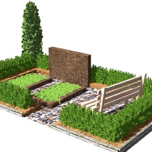 kapu dizains, ierīkošana, kopšana