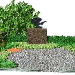 kapu dizains, ierīkošana, kopšana