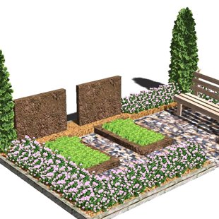 kapu dizains, ierīkošana, kopšana