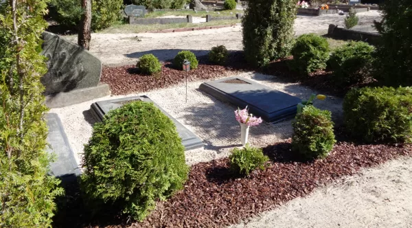 kapu dizains, ierīkošana, kopšana