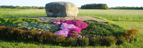 ainavu dizains, ierīkošana